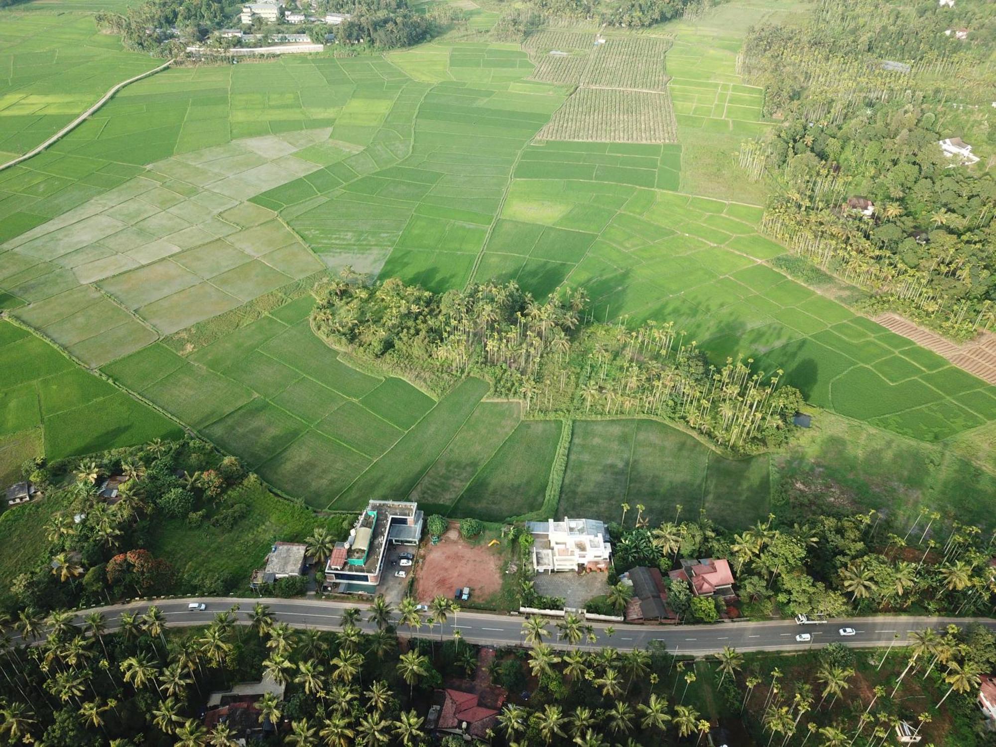 Paddyfield Inn Mananthavady Exteriör bild
