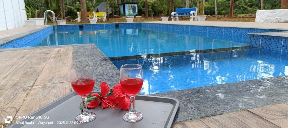 Paddyfield Inn Mananthavady Exteriör bild