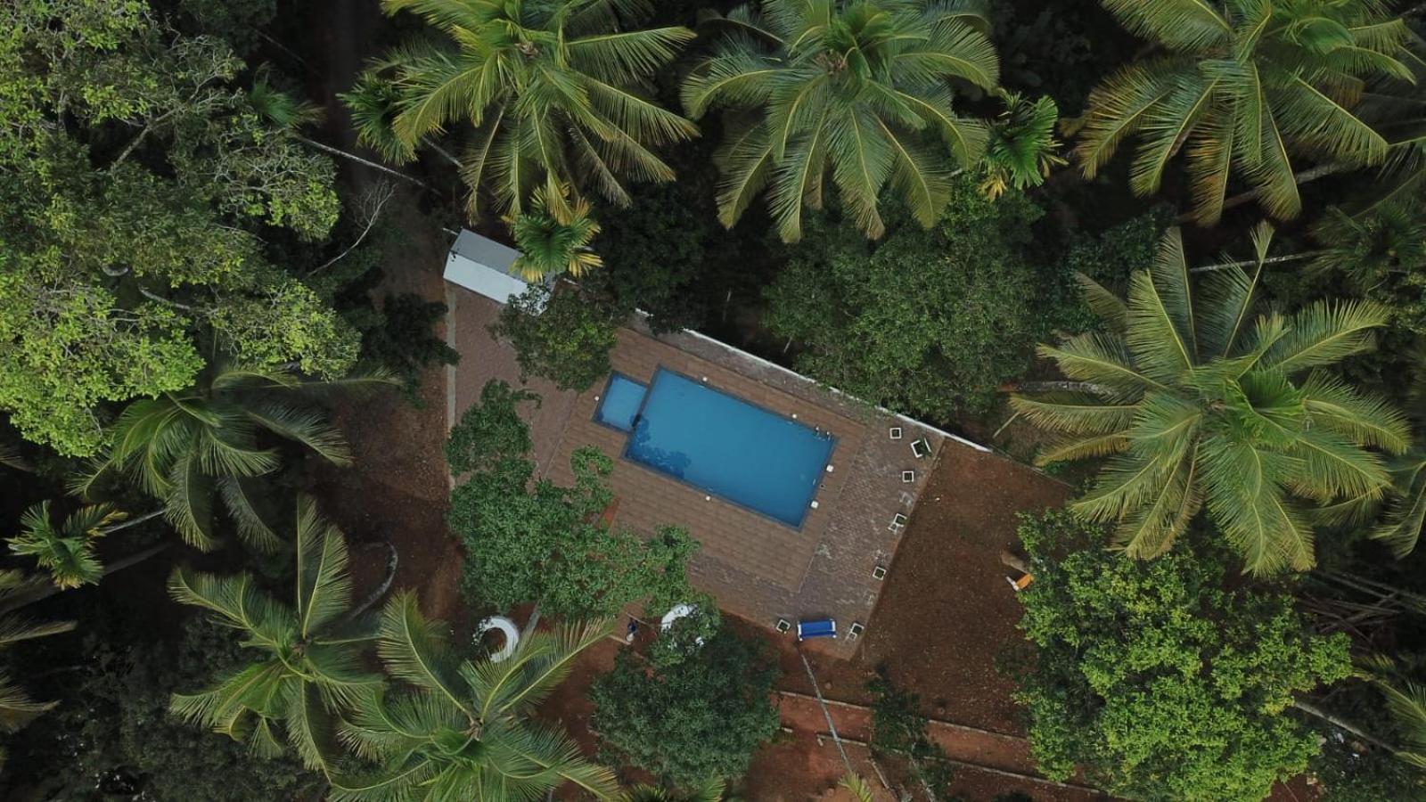 Paddyfield Inn Mananthavady Exteriör bild