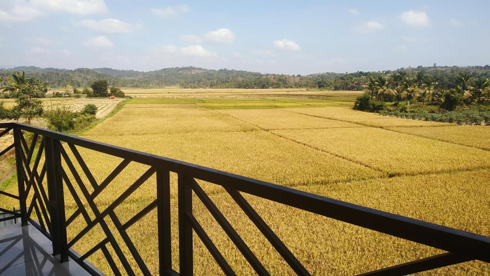 Paddyfield Inn Mananthavady Exteriör bild