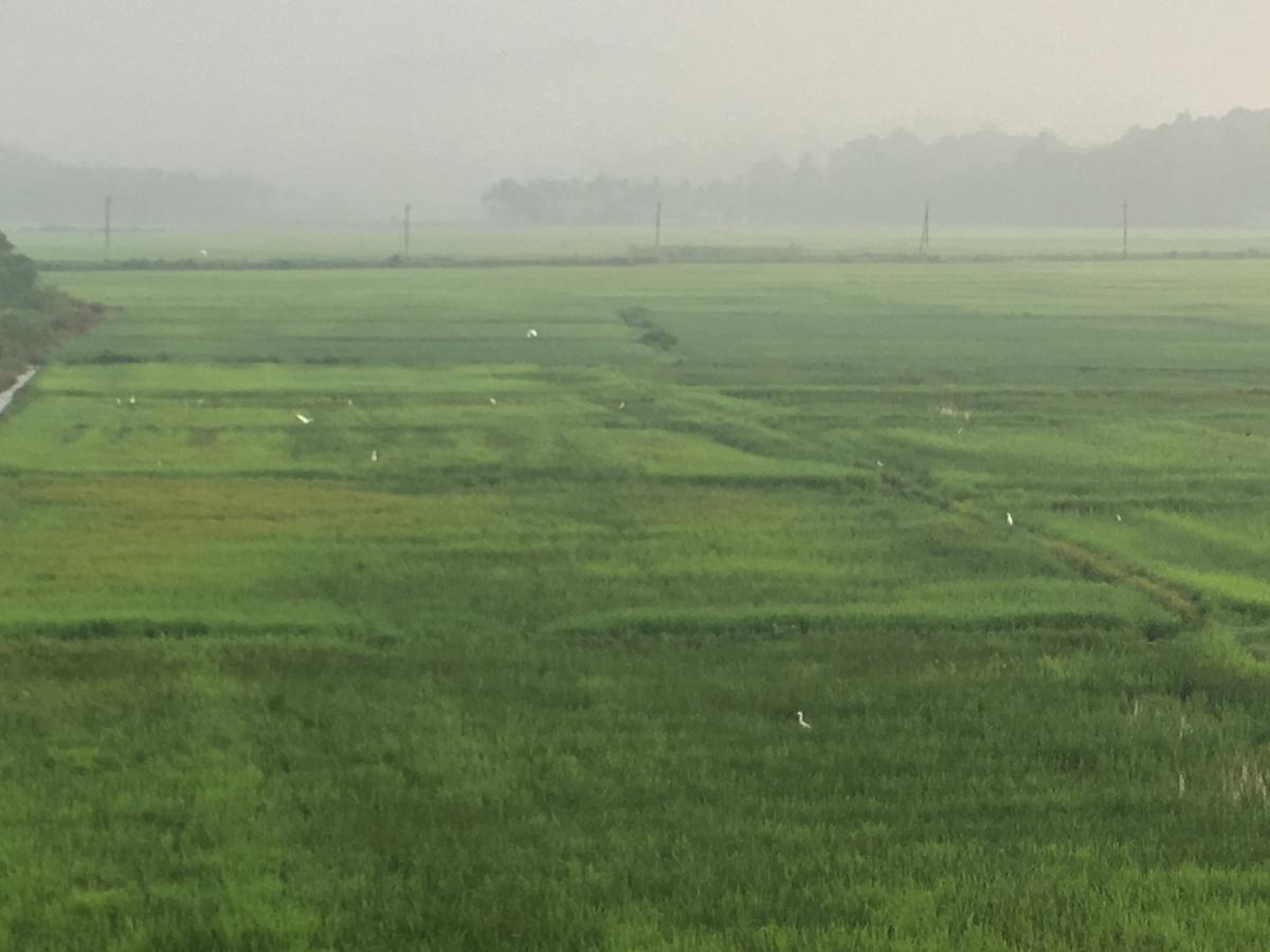 Paddyfield Inn Mananthavady Exteriör bild